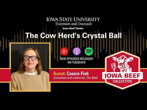 Cassie Fish: The Cow Herd's Crystal Ball cover art
