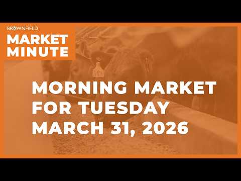 Soybeans were higher overnight | Morning Market Minute