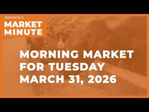Soybeans were higher overnight | Morning Market Minute cover art