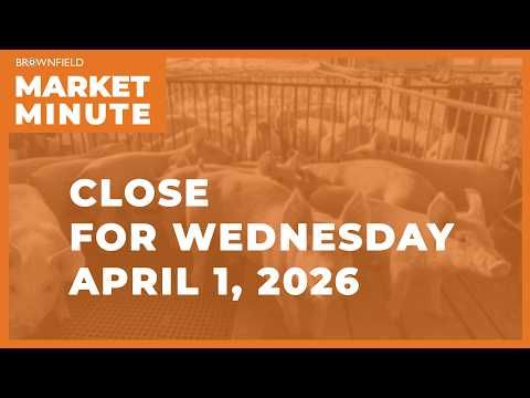 Cattle were higher at Midweek | Closing Market Minute cover art