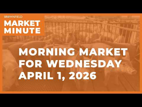 Soybeans were lower overnight | Morning Market Minute