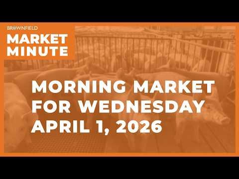 Soybeans were lower overnight | Morning Market Minute cover art