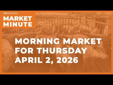 Corn was up overnight | Morning Market Minute