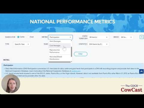 The CDCB Cowcast cover art