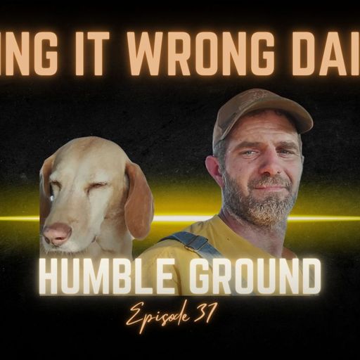 Doing It Wrong Dairy: One Man’s Dream, One Honest Story cover art