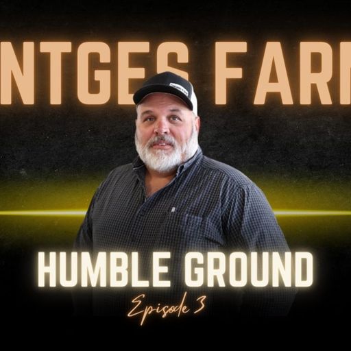 Millions of Eggs, All in My Backyard cover art