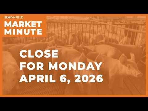 Hogs were higher Monday | Closing Market Minute cover art