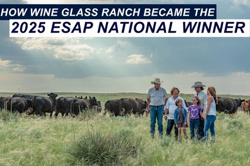 How Wine Glass Ranch Became the 2025 ESAP National Winner cover art