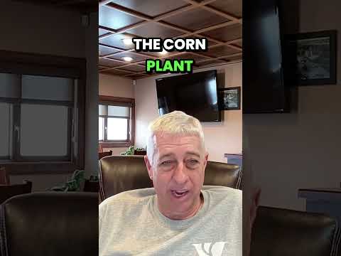 AgEmerge Podcast 185 with Ty Brown | Foliar Nutrition Boosts Corn Brix