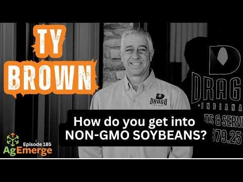 AgEmerge Podcast 185 with Ty Brown | Drago Indiana and Starting Non-GMO Soybeans cover art