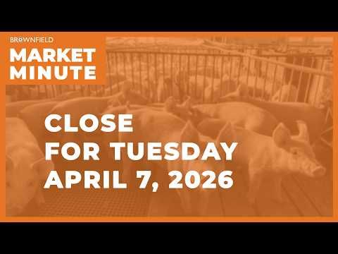 Cattle were lower Tuesday | Closing Market Minute cover art