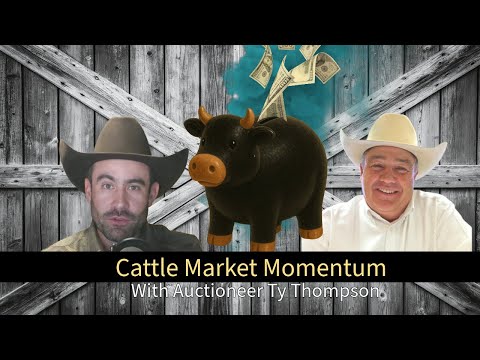 Cattle Market Momentum: Ty Thompson