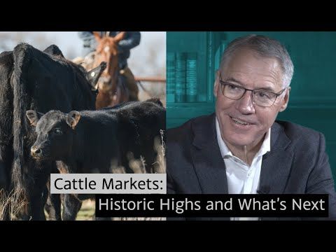 Cattle Market Signals with Randy Blach cover art