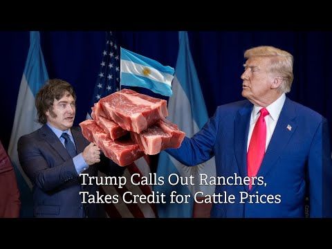 Trump’s Beef Battle cover art