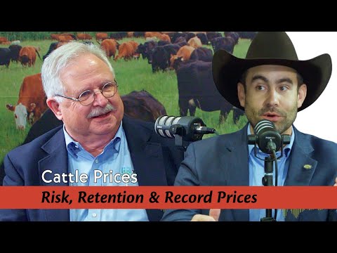 Risk, Retention & Record Prices: 2025 Cattle Market