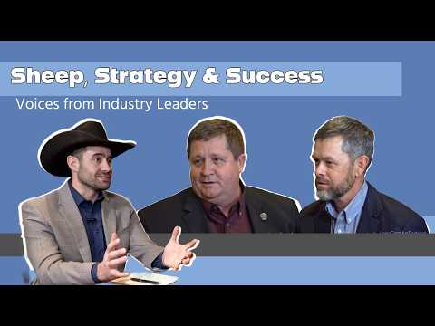 Sheep, Strategy & Success: Voices from Industry Leaders