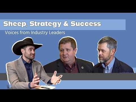 Sheep, Strategy & Success: Voices from Industry Leaders cover art