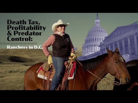 Death Tax, Profitability & Predator Control: Ranchers in D.C. cover art