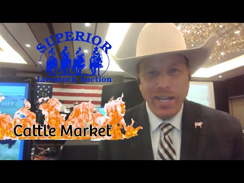 Summer Cattle Run Kicks Off: Feeder Trends from the Corn Belt Classic