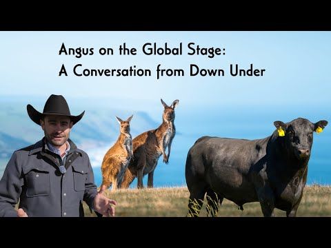 Angus on the Global Stage: A Conversation from Down Under cover art