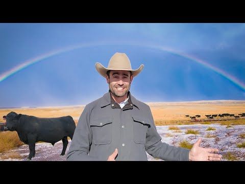 Cattle. Country. Connection. The 2025 Montana Angus Tour cover art