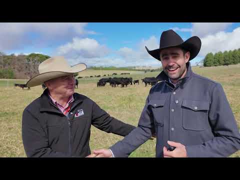 World Angus Expo: Chatting with Australian Angus Leaders
