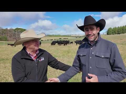 World Angus Expo: Chatting with Australian Angus Leaders cover art