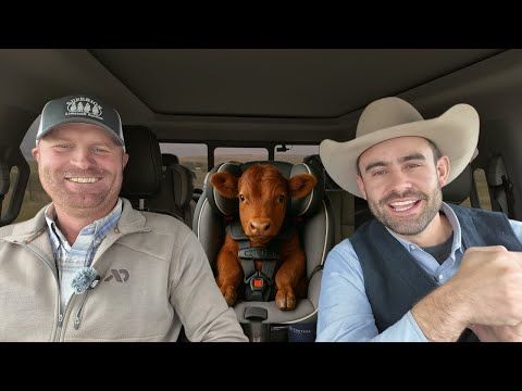 Calf Prices and Hard Truths cover art