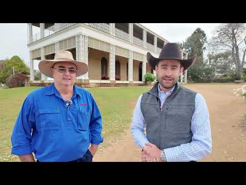 Feeding Cattle, Aussie Style: A Conversation with Stuart Judd