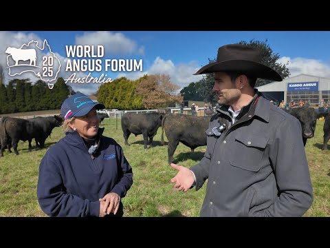 Australia’s Karoo Angus: A Family Tradition