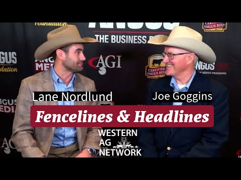 Fencelines & Headlines: Veterans Day, Joe Goggins on Cattle Business and Cattle Genetics