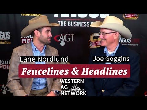 Fencelines & Headlines: Veterans Day, Joe Goggins on Cattle Business and Cattle Genetics cover art