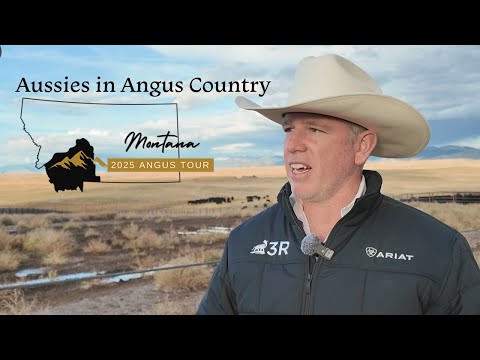 Aussies in Angus Country
