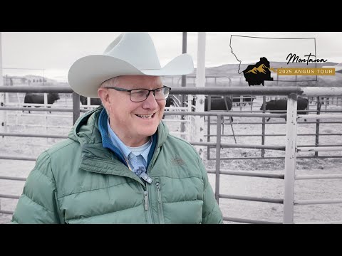 Joe Goggins: The Strength of Montana Angus