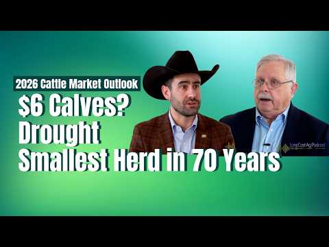$6 Calves, Drought, and the Smallest Herd in 70 Years