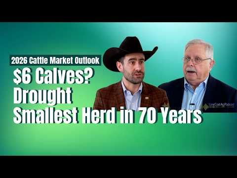$6 Calves, Drought, and the Smallest Herd in 70 Years cover art