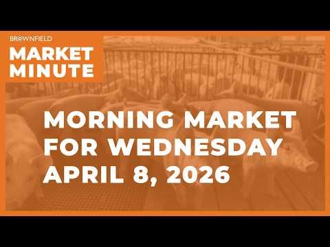 Soybeans were lower overnight | Morning Market Minute cover art