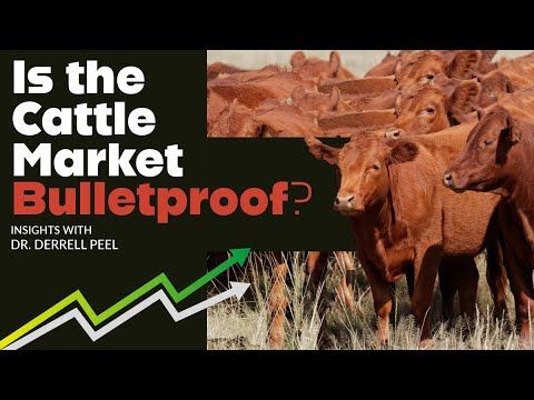 Is the Cattle Market Bulletproof? cover art