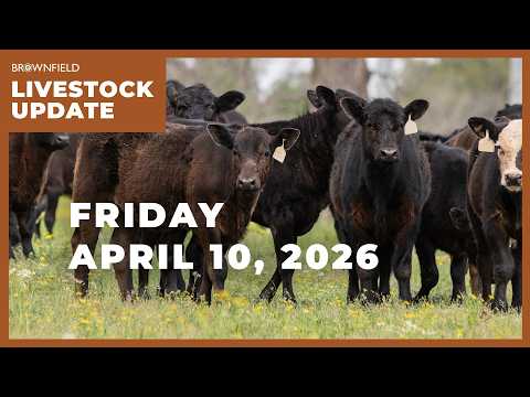 Cattle futures up sharply this week | Weekly Livestock Market Update