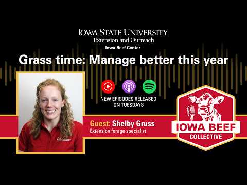 Grass time: Manage better this year