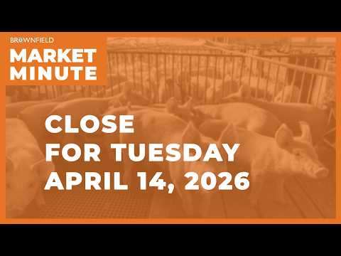 Cattle futures were higher Tuesday | Closing Market Minute