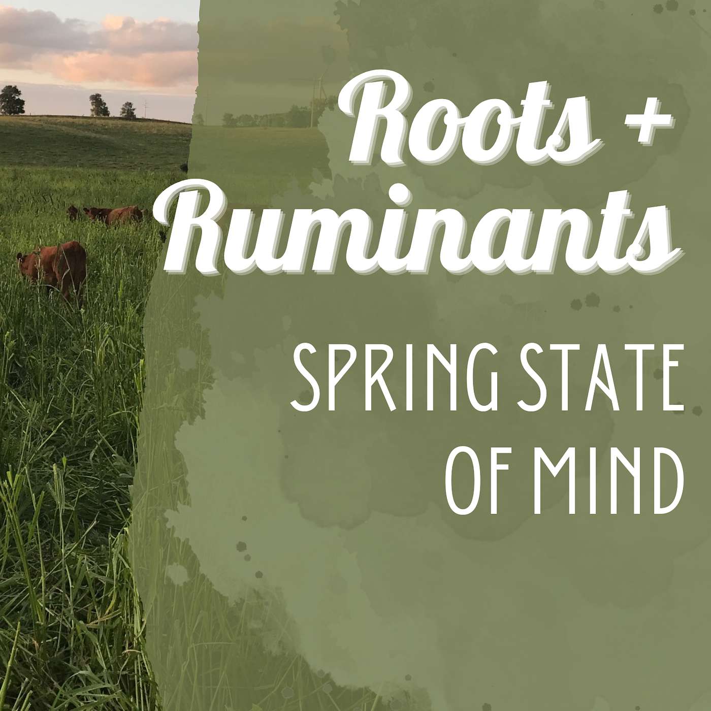 Spring State of Mind cover art