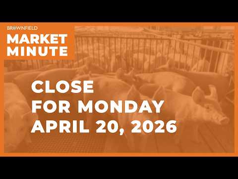 Cattle were lower Monday | Closing Market Minute