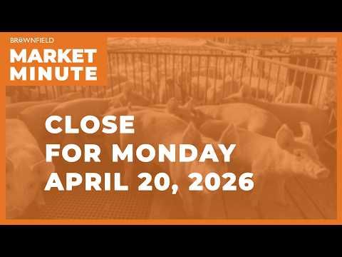Cattle were lower Monday | Closing Market Minute cover art
