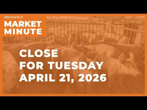 Cattle were lower Tuesday | Closing Market Minute
