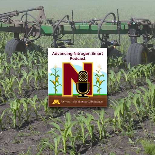The pre-sidedress nitrate test (PSNT): Sampling, standards & values to know cover art