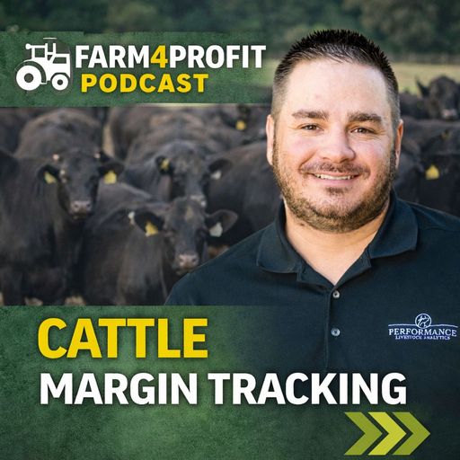 What’s Working: Real-Time Data for Cattle Producers cover art