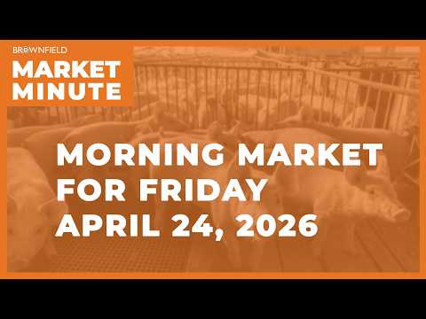 Corn was modestly higher overnight | Morning Market Minute