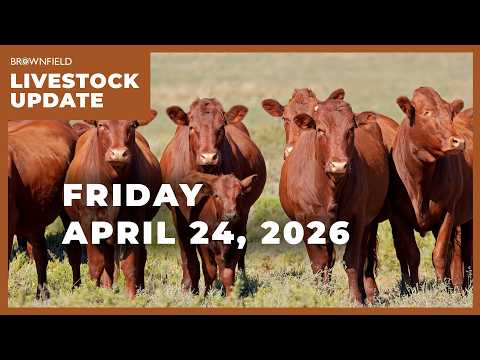 Cattle futures move lower this week | Weekly Livestock Market Update