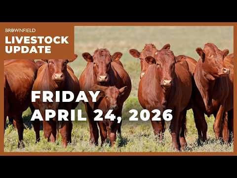 Cattle futures move lower this week | Weekly Livestock Market Update cover art